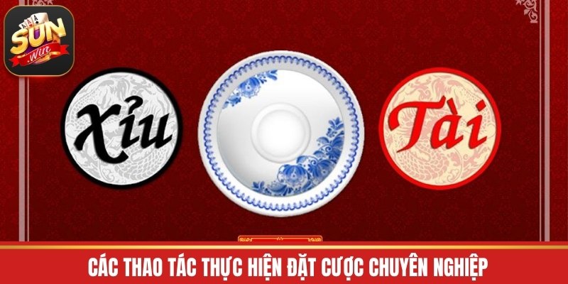 Các thao tác thực hiện đặt cược chuyên nghiệp